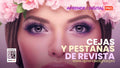 Magazine-Quality Brows & Lashes Masterclass - Professional Certified Digital Course - Masterclass Cejas y Pestañas de Revista - Curso Digital Profesional Certificado